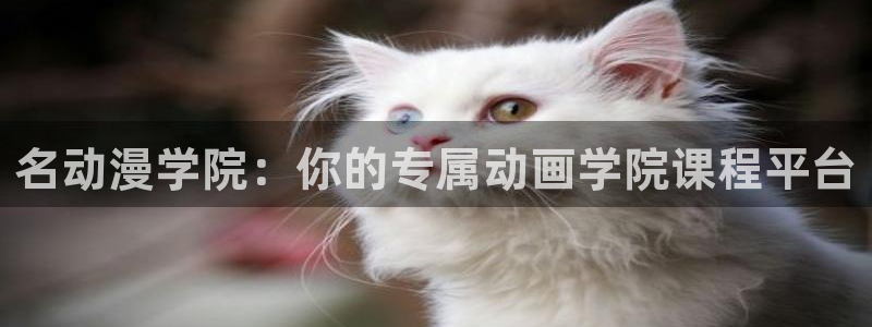 汗汗漫画免费中文阅读:名动漫学院:你的专属动画学院课程平台配图
