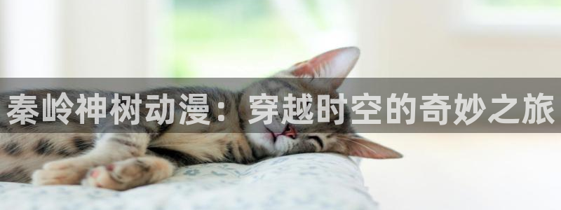 汗汗漫画最新章节：秦岭神树动漫：穿越时空的奇妙之旅配图