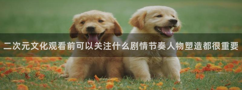 汗汗漫画最新章节在线:二次元文化观看前可以关注什么剧情节奏人物塑造都很重要配图