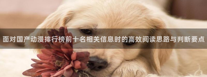2026汗汗漫画高分推荐:面对国产动漫排行榜前十名相关信息时的高效阅读思路与判断要点配图